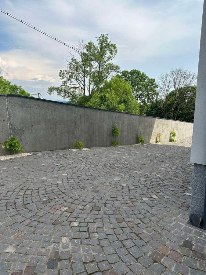 Панорамні Апартаменти Uzhhorod Εξωτερικό φωτογραφία